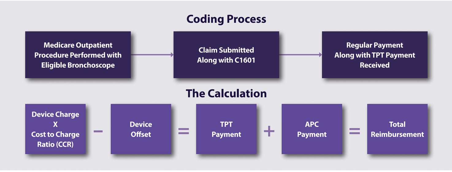 coding process